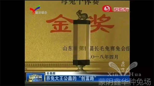 園區(qū)景觀