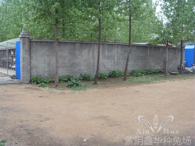 園區(qū)景觀