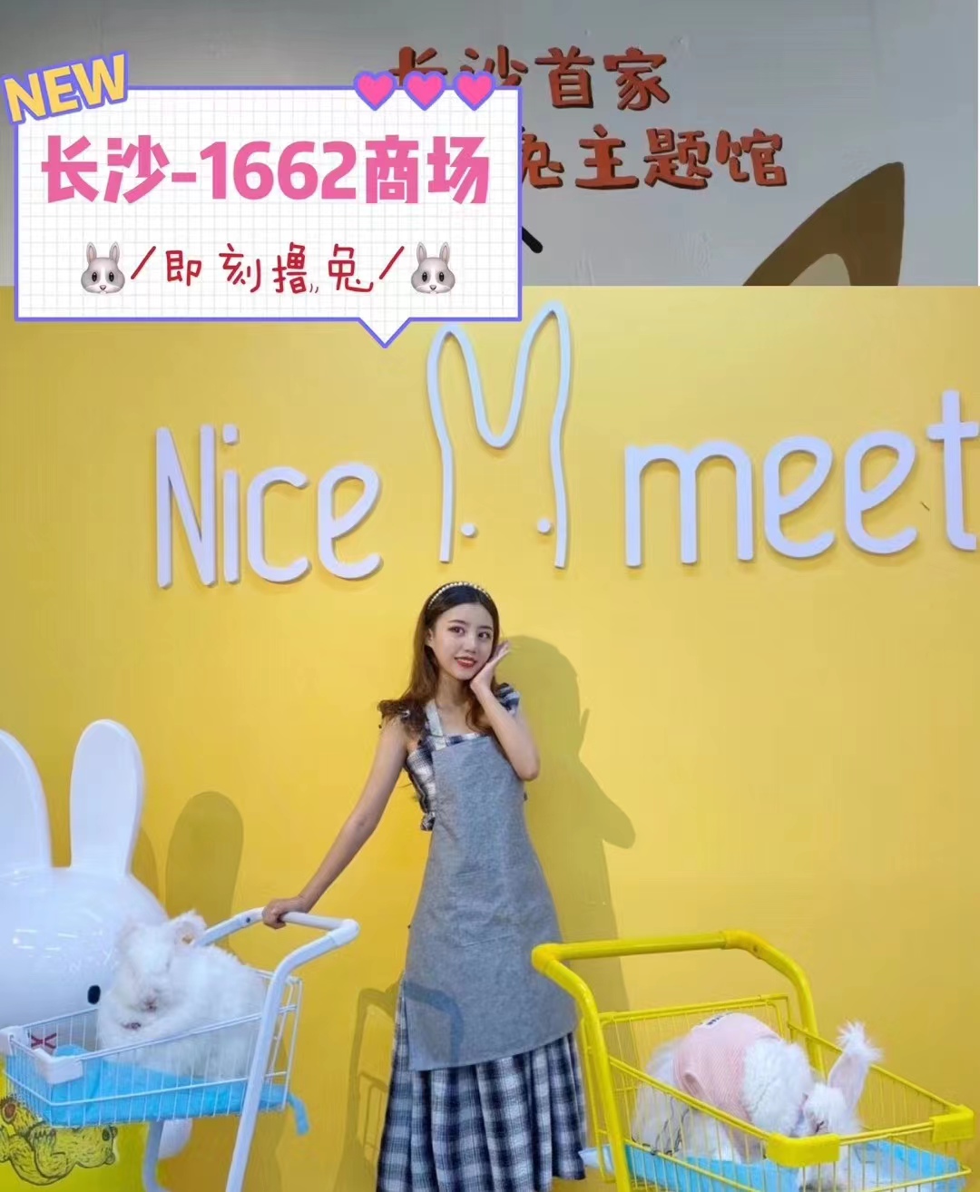 長(zhǎng)毛兔種兔怎么喂養(yǎng)？