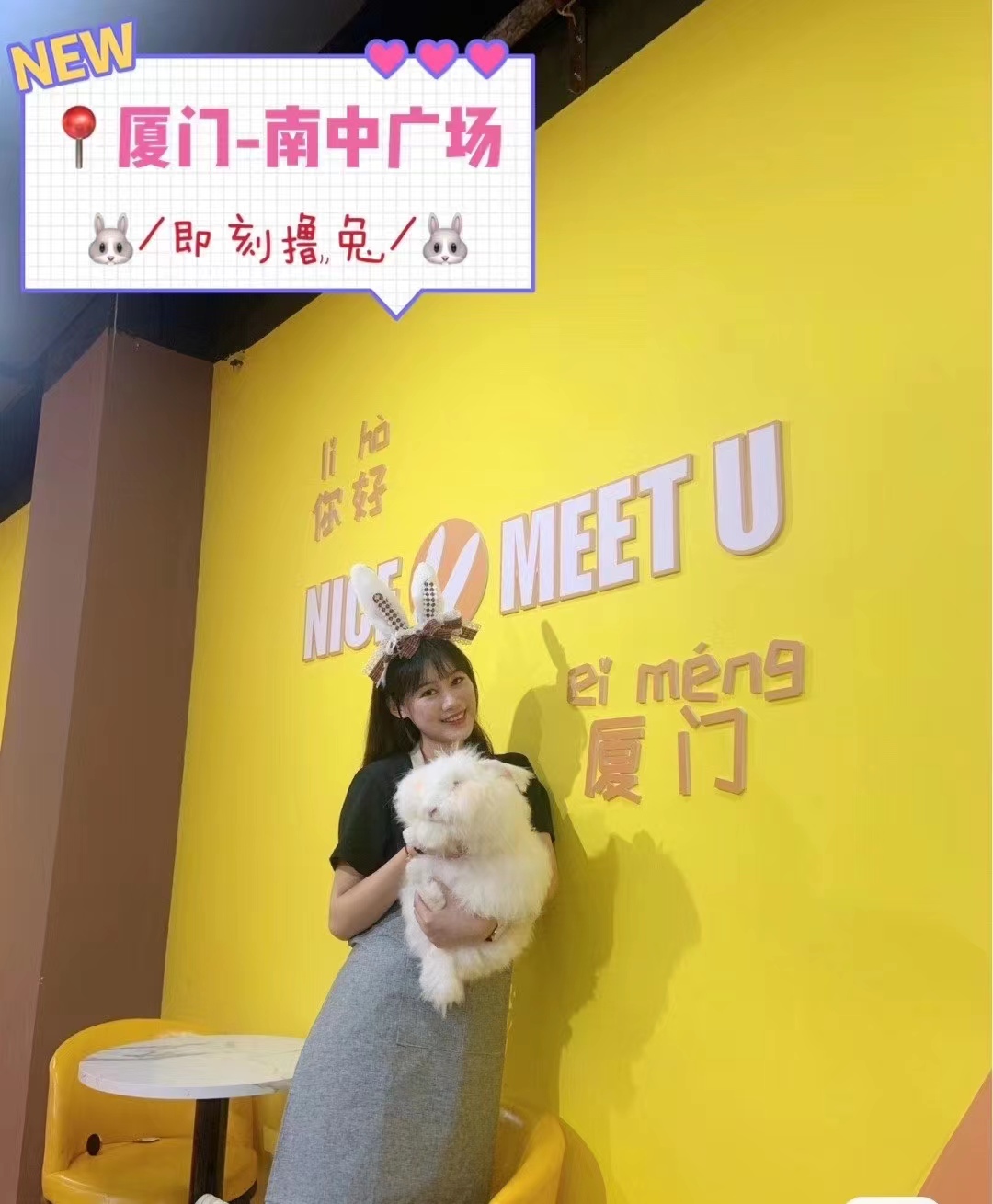 講解長毛兔科學采毛技巧