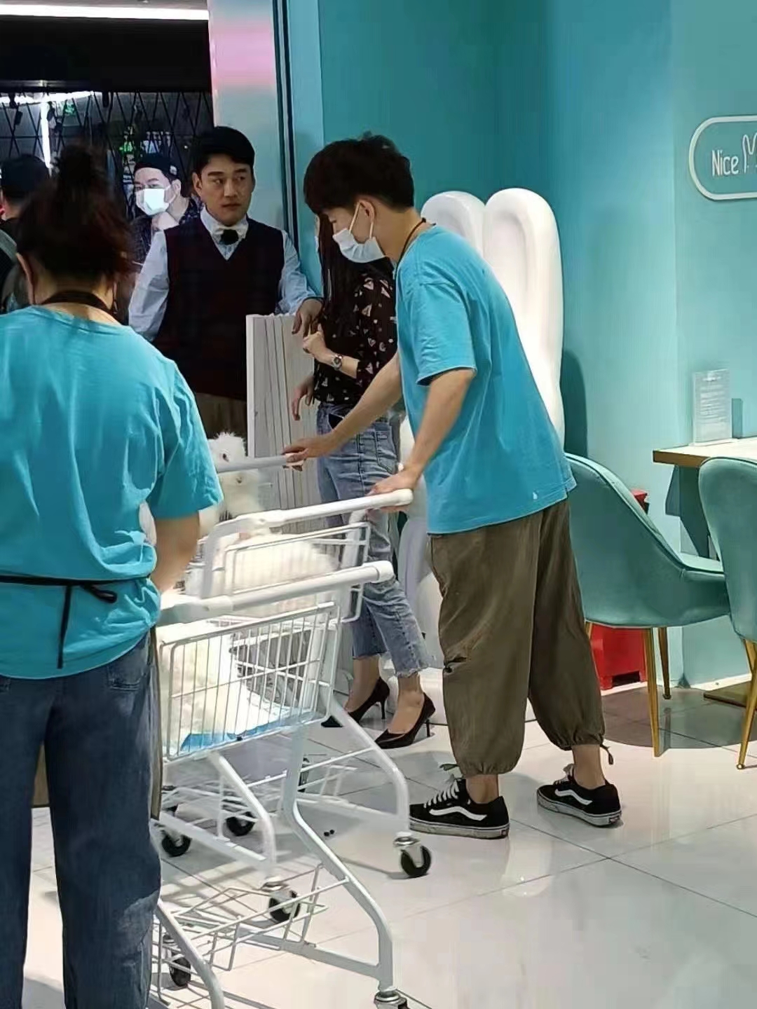 長毛免的飼料配比方案中如何保證飼料中的營養物質平衡